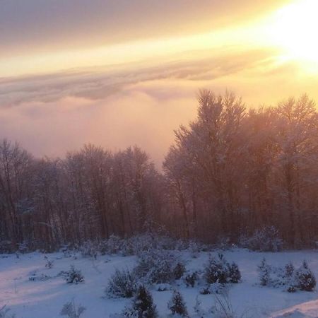 Goma Kop Apartmani Kopaonik Kültér fotó