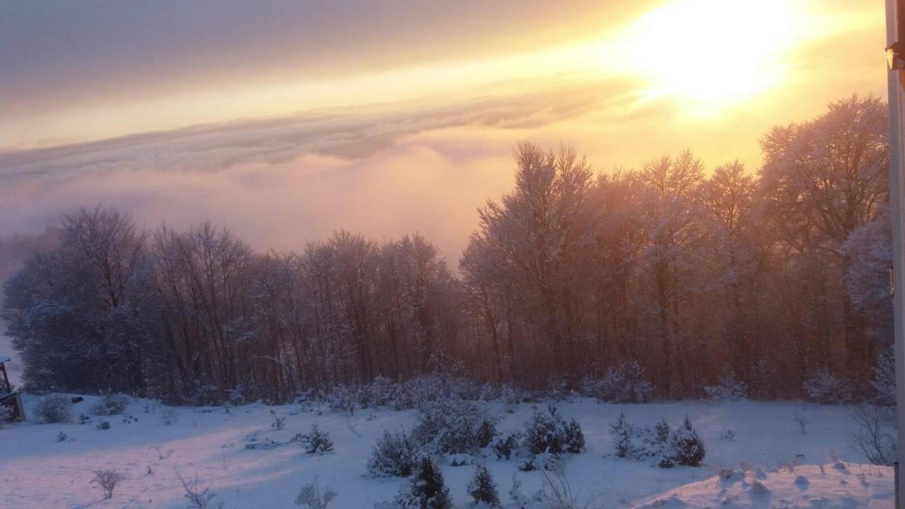 Goma Kop Apartmani Kopaonik Kültér fotó