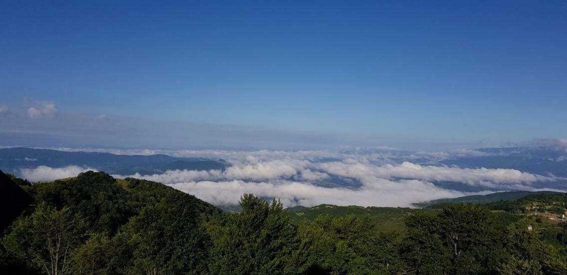 Goma Kop Apartmani Kopaonik Kültér fotó